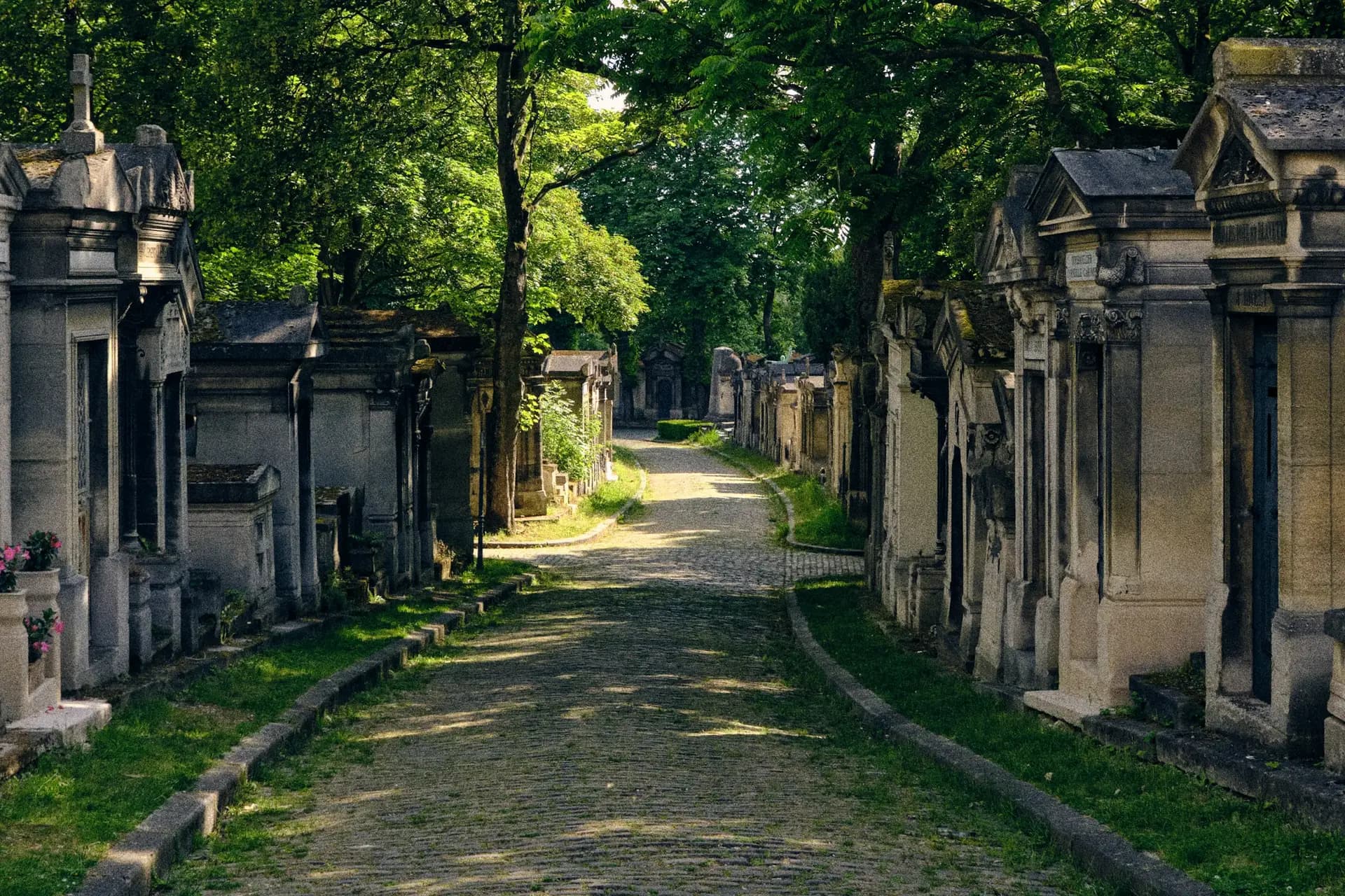Allée d'un cimetière aux tombes entretenues